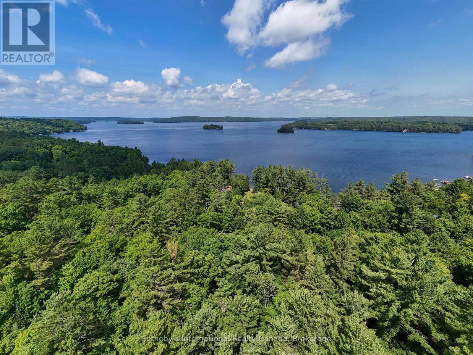 1098 Old Hwy 117, Lake Of Bays, Ontario  P0B 1A0 - Photo 9 - X12275009