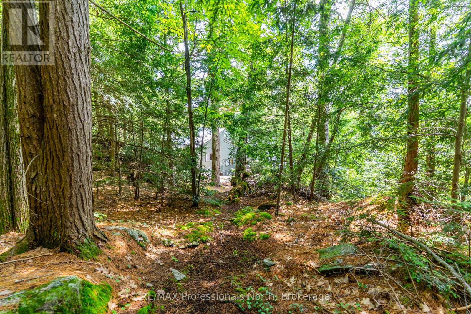 53437 Big Hawk Lake, Algonquin Highlands, Ontario  K0M 1S0 - Photo 26 - X12276237