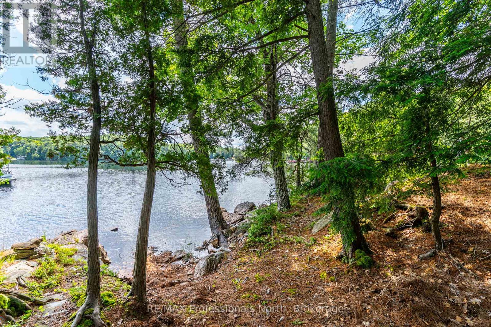 53437 Big Hawk Lake, Algonquin Highlands, Ontario  K0M 1S0 - Photo 31 - X12276237