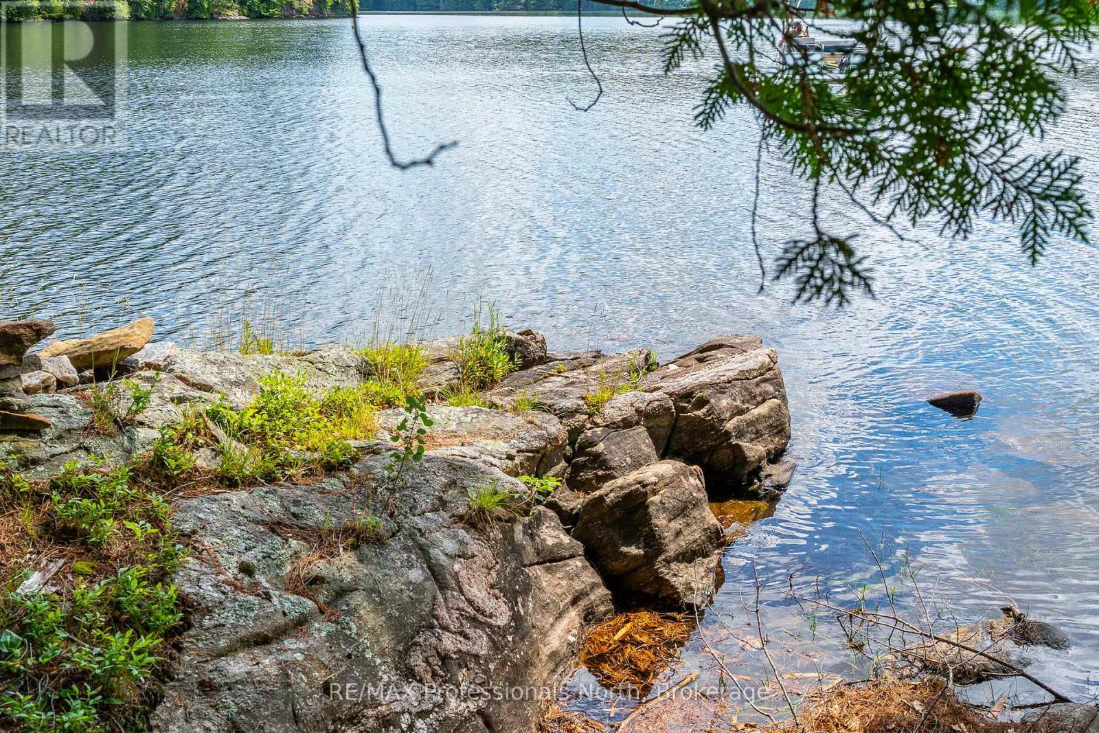 53437 Big Hawk Lake, Algonquin Highlands, Ontario  K0M 1S0 - Photo 32 - X12276237