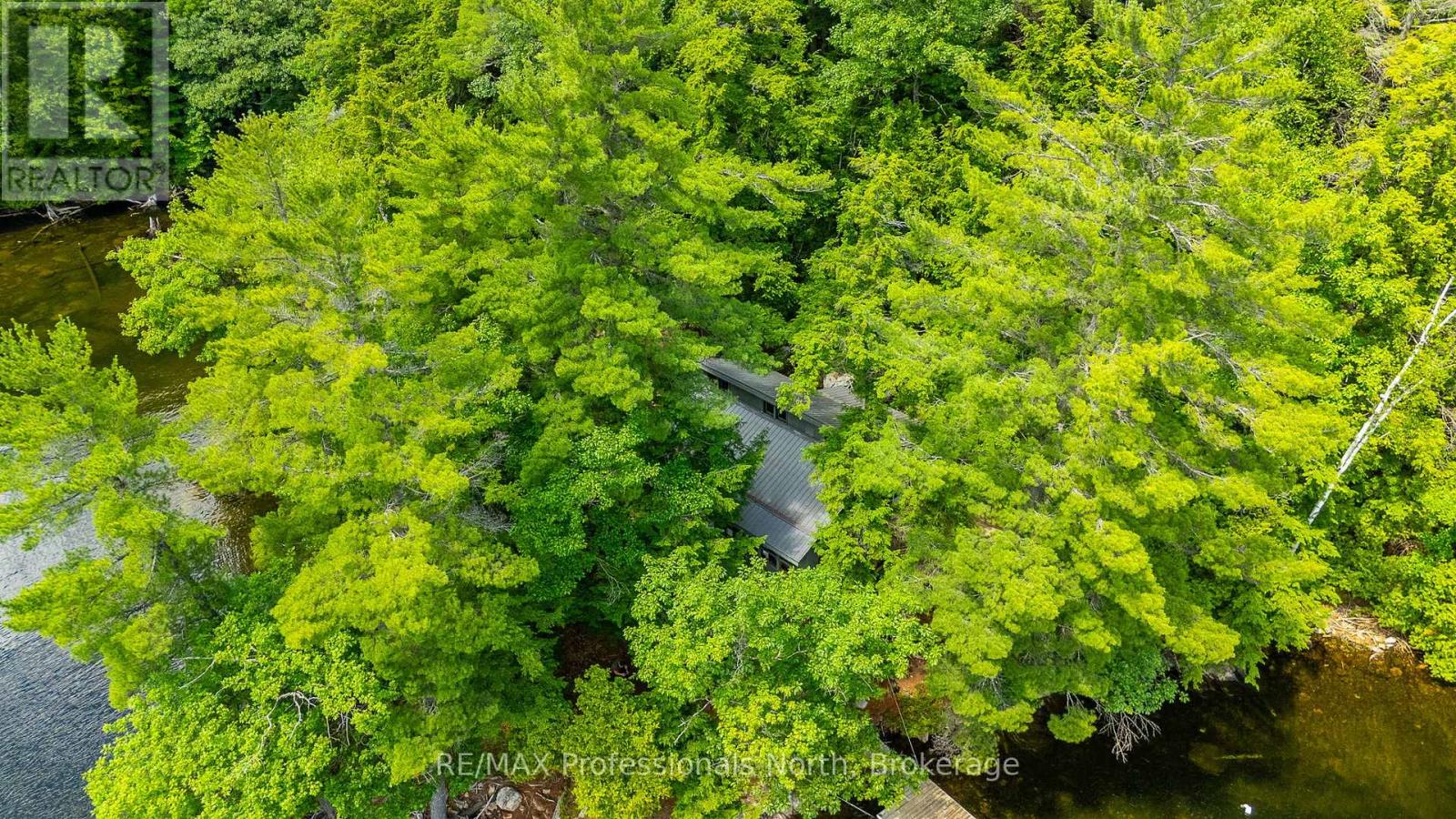 53437 Big Hawk Lake, Algonquin Highlands, Ontario  K0M 1S0 - Photo 41 - X12276237