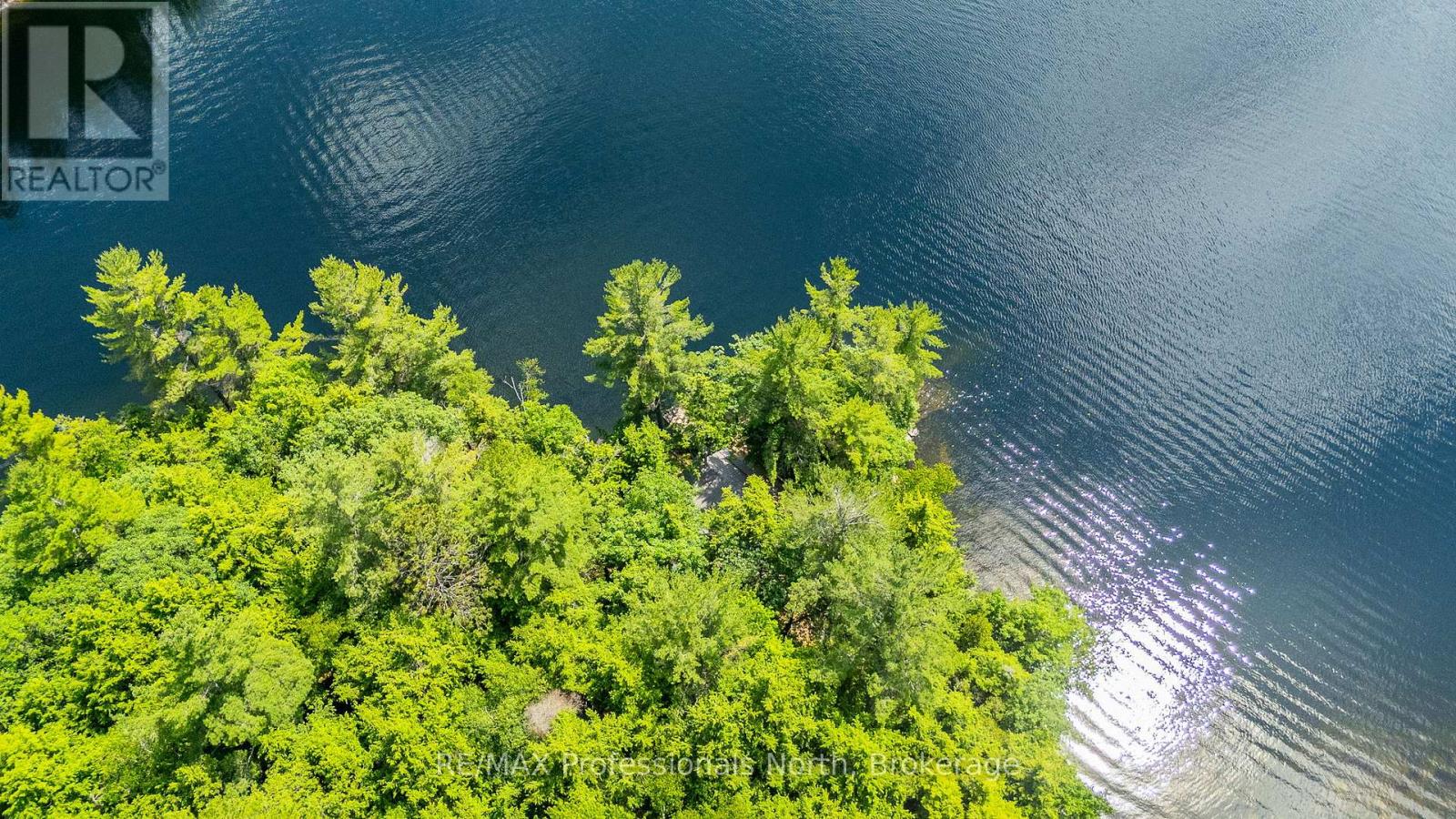 53437 Big Hawk Lake, Algonquin Highlands, Ontario  K0M 1S0 - Photo 43 - X12276237