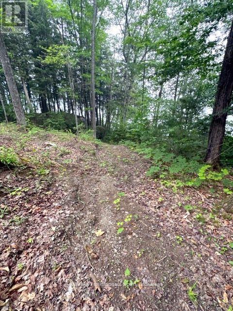 1167 Leon's Lane, Dysart Et Al, Ontario  K0M 1S0 - Photo 10 - X12277380