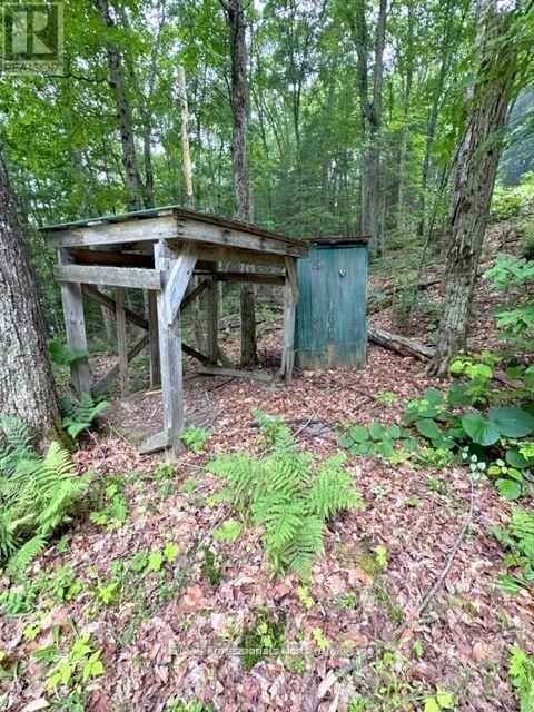 1167 Leon's Lane, Dysart Et Al, Ontario  K0M 1S0 - Photo 15 - X12277380