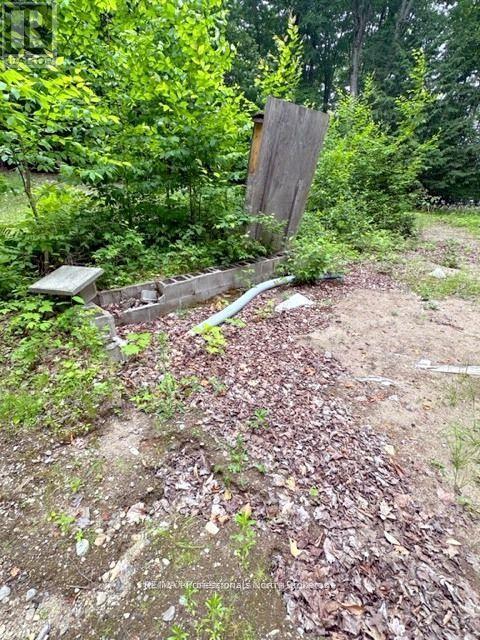 1167 Leon's Lane, Dysart Et Al, Ontario  K0M 1S0 - Photo 17 - X12277380