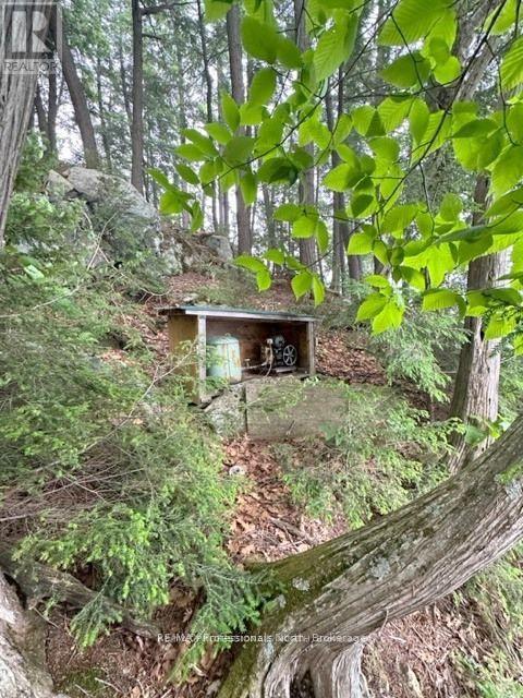 1167 Leon's Lane, Dysart Et Al, Ontario  K0M 1S0 - Photo 19 - X12277380