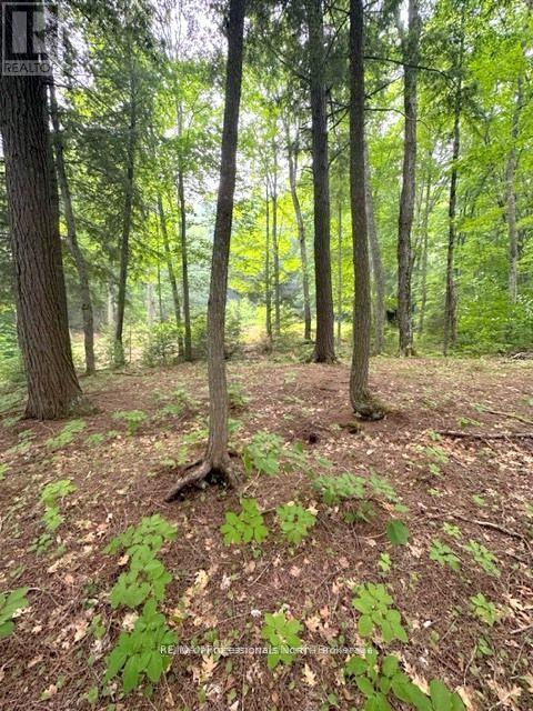 1167 Leon's Lane, Dysart Et Al, Ontario  K0M 1S0 - Photo 24 - X12277380
