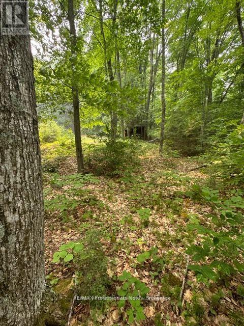 1167 Leon's Lane, Dysart Et Al, Ontario  K0M 1S0 - Photo 26 - X12277380