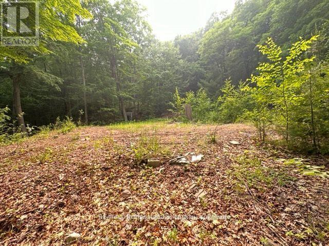 1167 Leon's Lane, Dysart Et Al, Ontario  K0M 1S0 - Photo 28 - X12277380