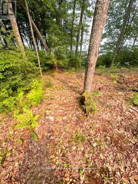 1167 Leon's Lane, Dysart Et Al, Ontario  K0M 1S0 - Photo 29 - X12277380