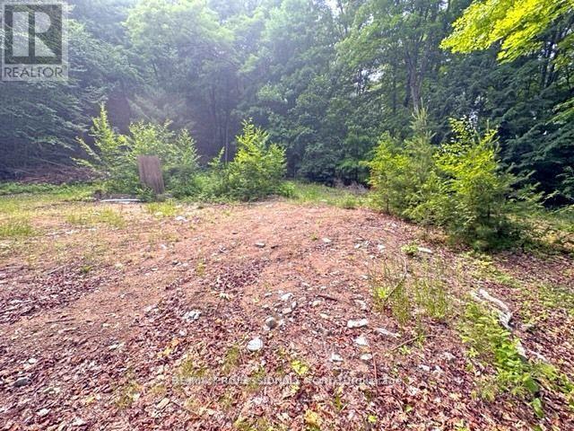 1167 Leon's Lane, Dysart Et Al, Ontario  K0M 1S0 - Photo 31 - X12277380