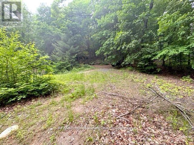 1167 Leon's Lane, Dysart Et Al, Ontario  K0M 1S0 - Photo 32 - X12277380