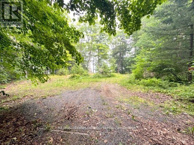1167 Leon's Lane, Dysart Et Al, Ontario  K0M 1S0 - Photo 33 - X12277380