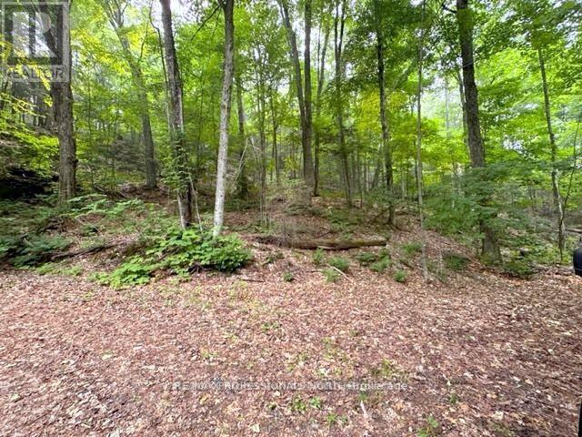 1167 Leon's Lane, Dysart Et Al, Ontario  K0M 1S0 - Photo 35 - X12277380