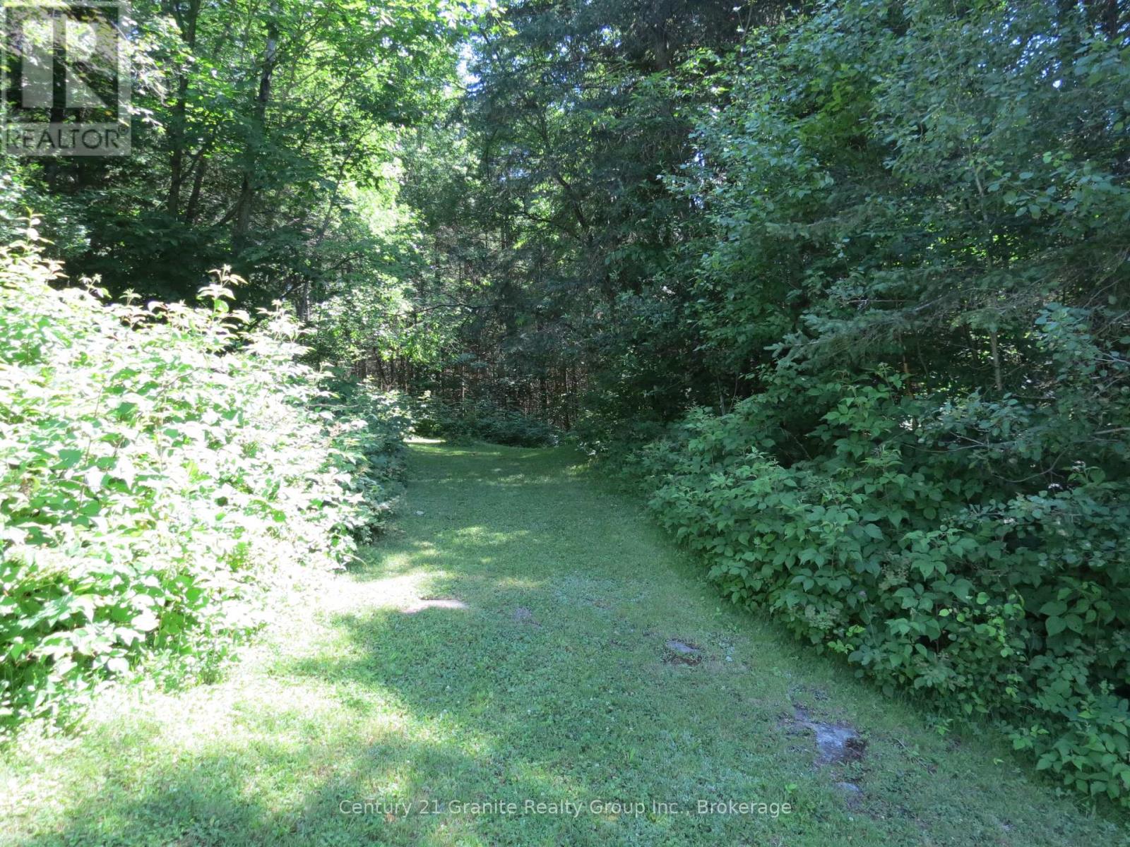 1053 Buttercup Drive, Highlands East, Ontario  K0L 3C0 - Photo 22 - X12278399