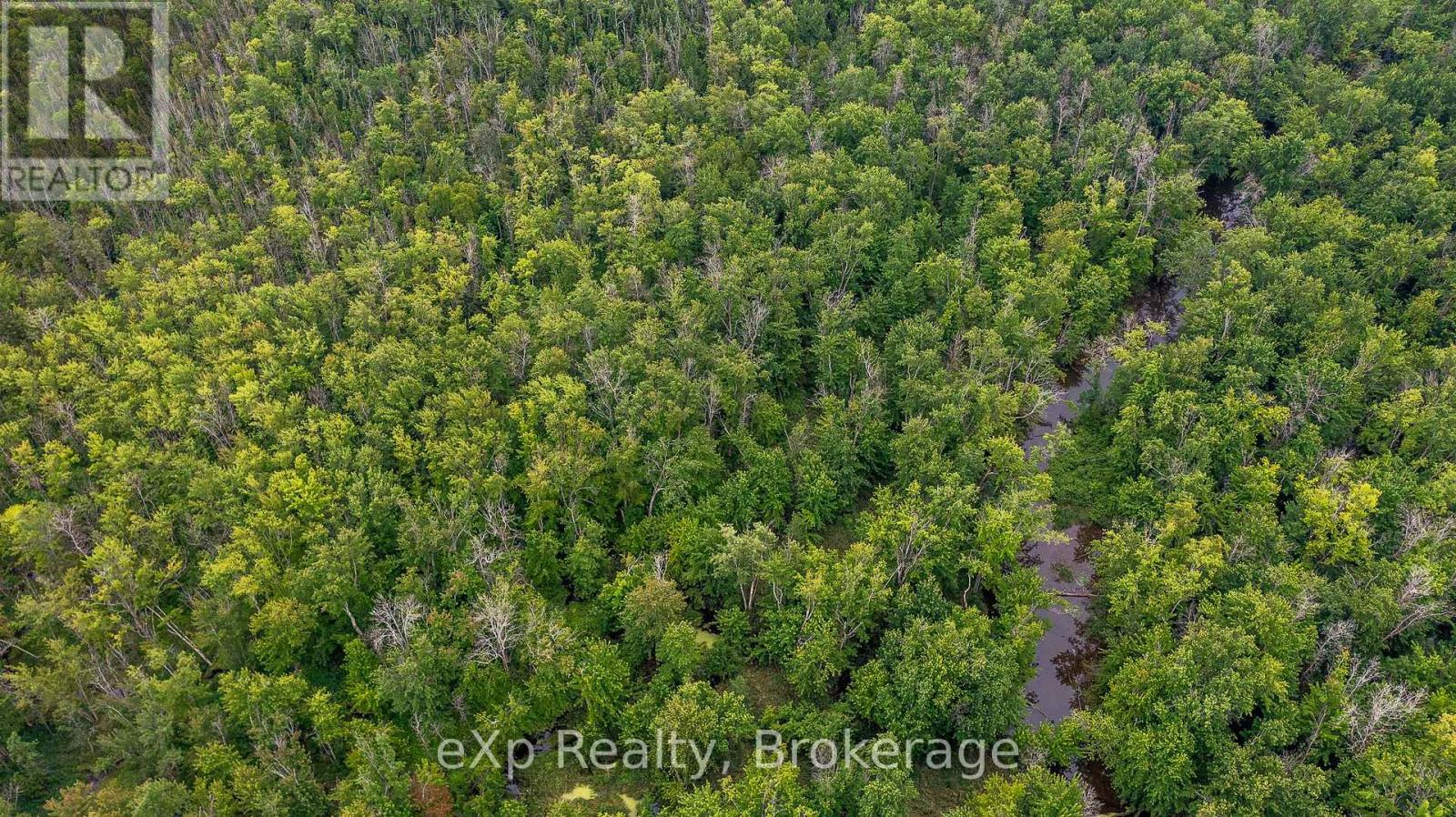 Ptlt1-2 Concession Rd 3, Georgian Bluffs, Ontario  N0H 1G0 - Photo 4 - X12278454