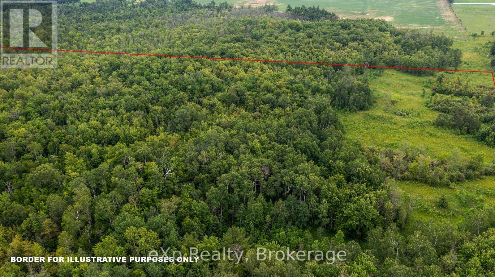 Ptlt1-2 Concession Rd 3, Georgian Bluffs, Ontario  N0H 1G0 - Photo 7 - X12278454