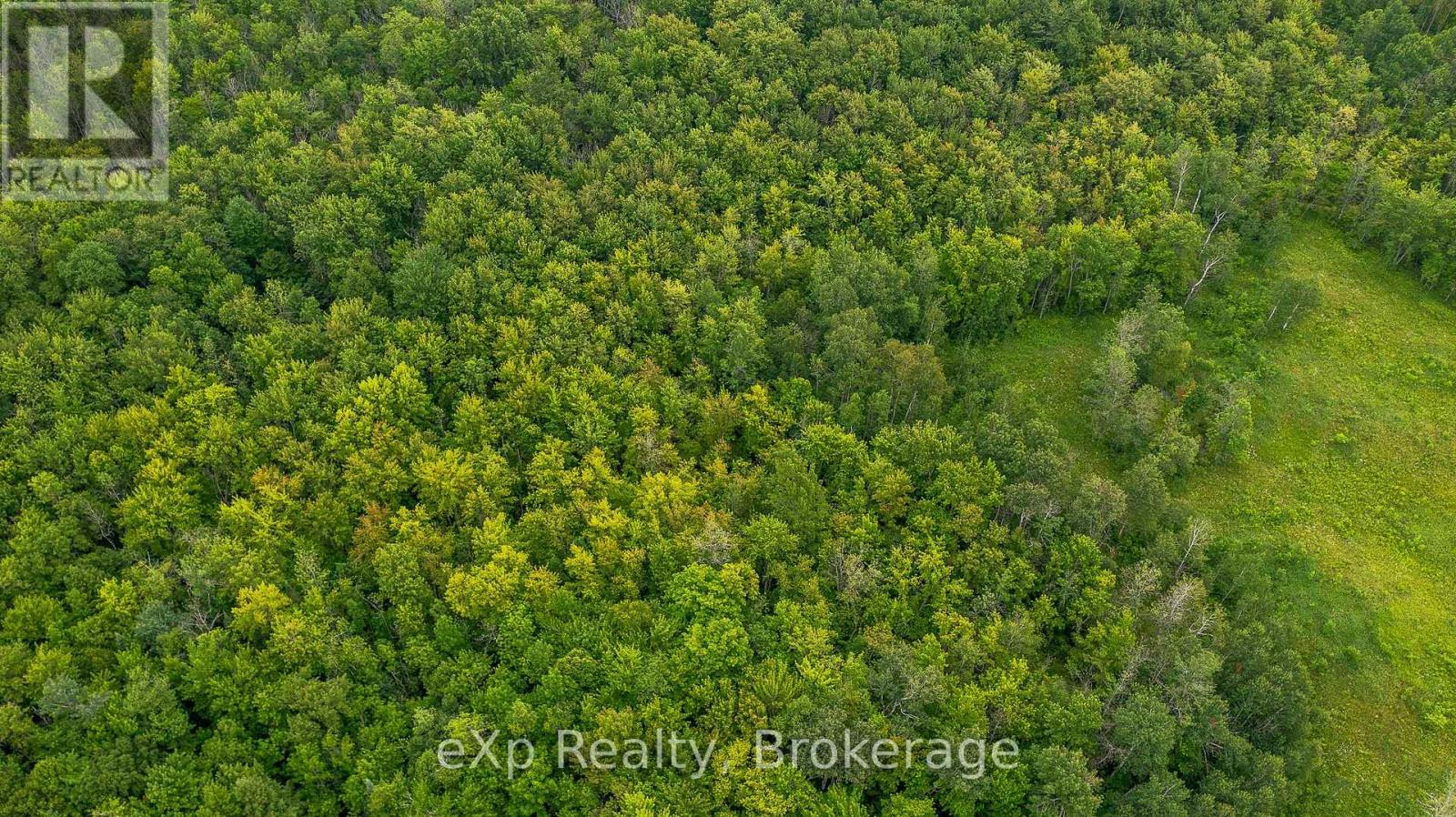 Ptlt1-2 Concession Rd 3, Georgian Bluffs, Ontario  N0H 1G0 - Photo 8 - X12278454