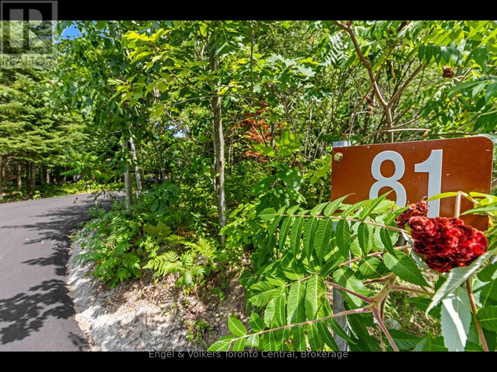 81 Spruce Street, Tiny, Ontario  L0L 1P1 - Photo 5 - S12279204