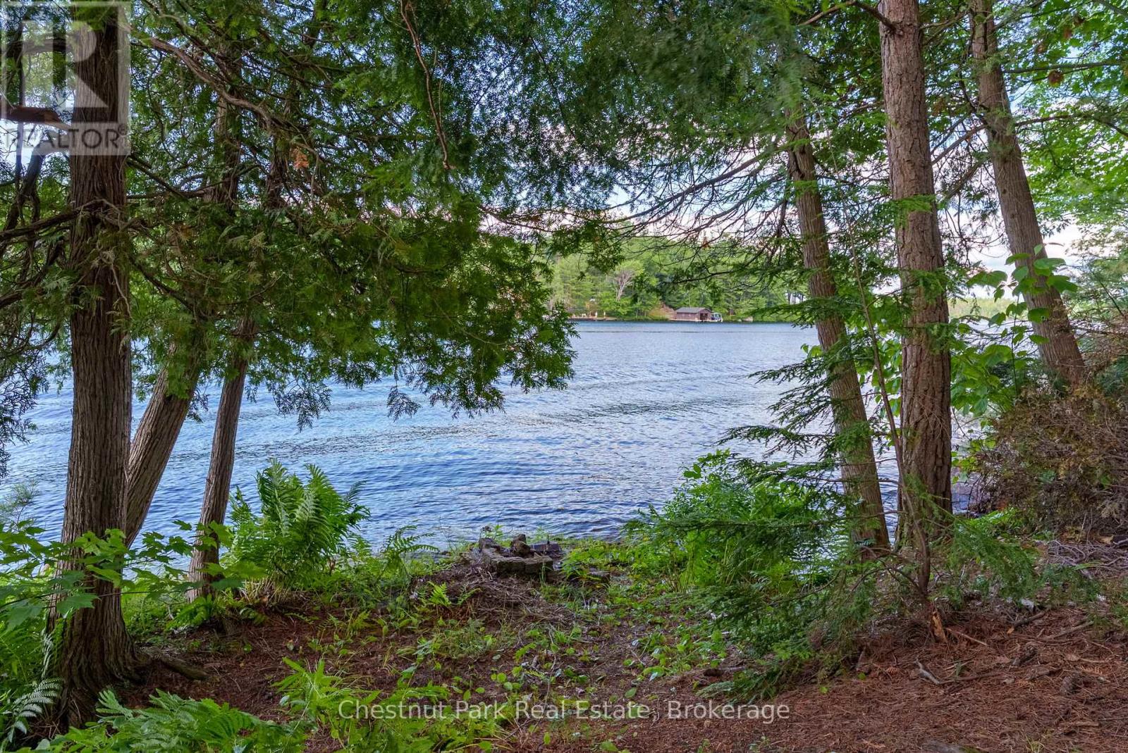 26 Taylor Island 26lm, Gravenhurst, Ontario  P1P 1R2 - Photo 37 - X12279239