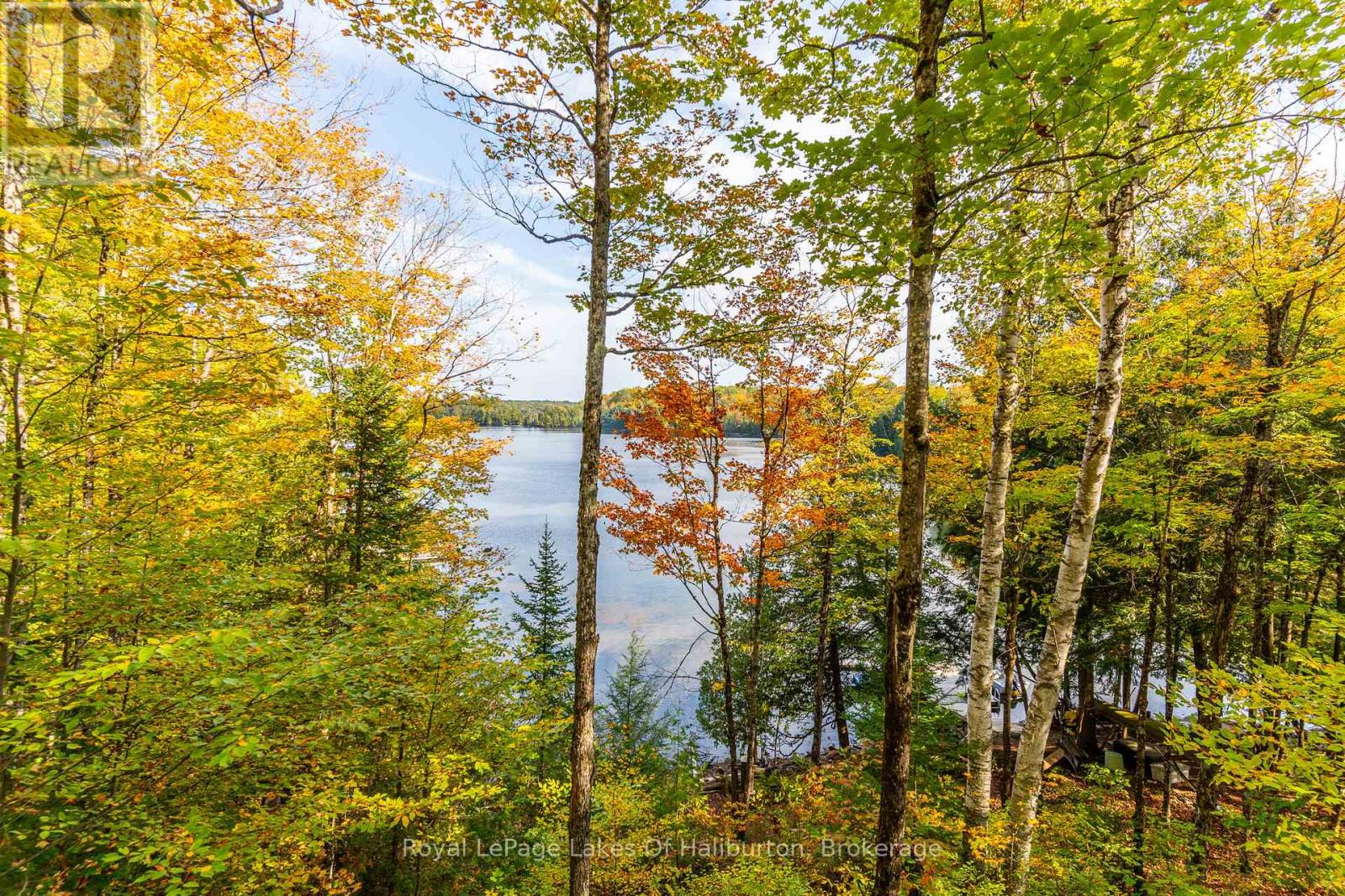 48 Russell Drive, Trent Lakes, Ontario  K0M 2A0 - Photo 11 - X12279556