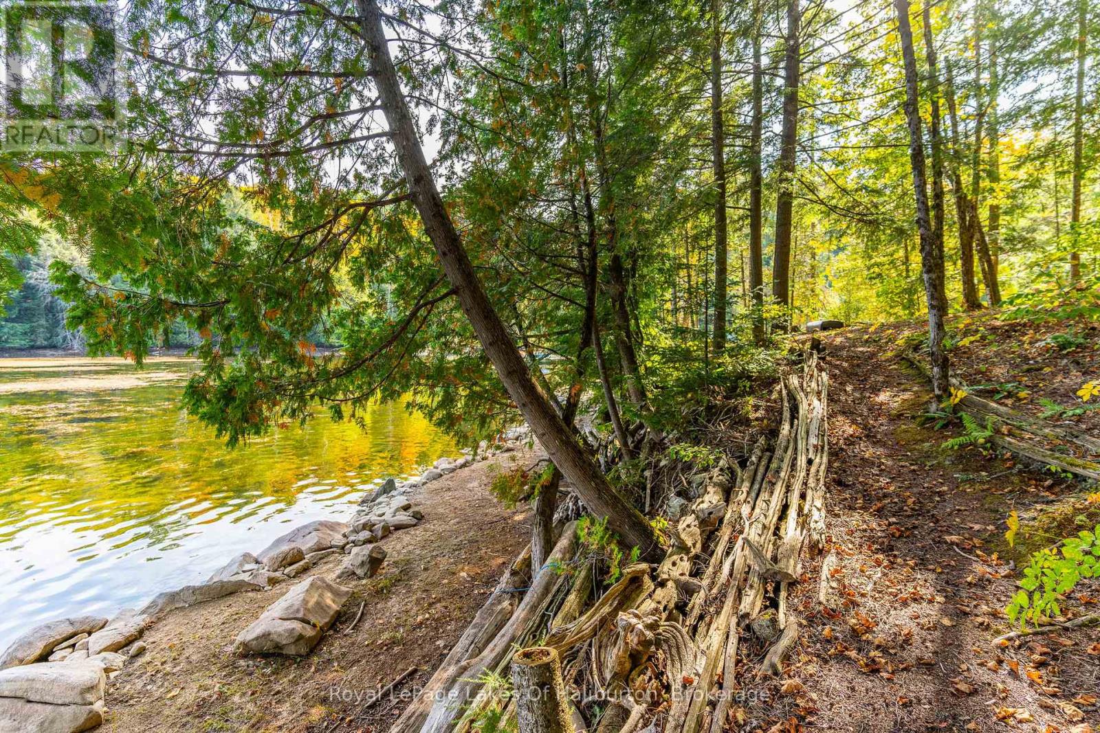 48 Russell Drive, Trent Lakes, Ontario  K0M 2A0 - Photo 40 - X12279556
