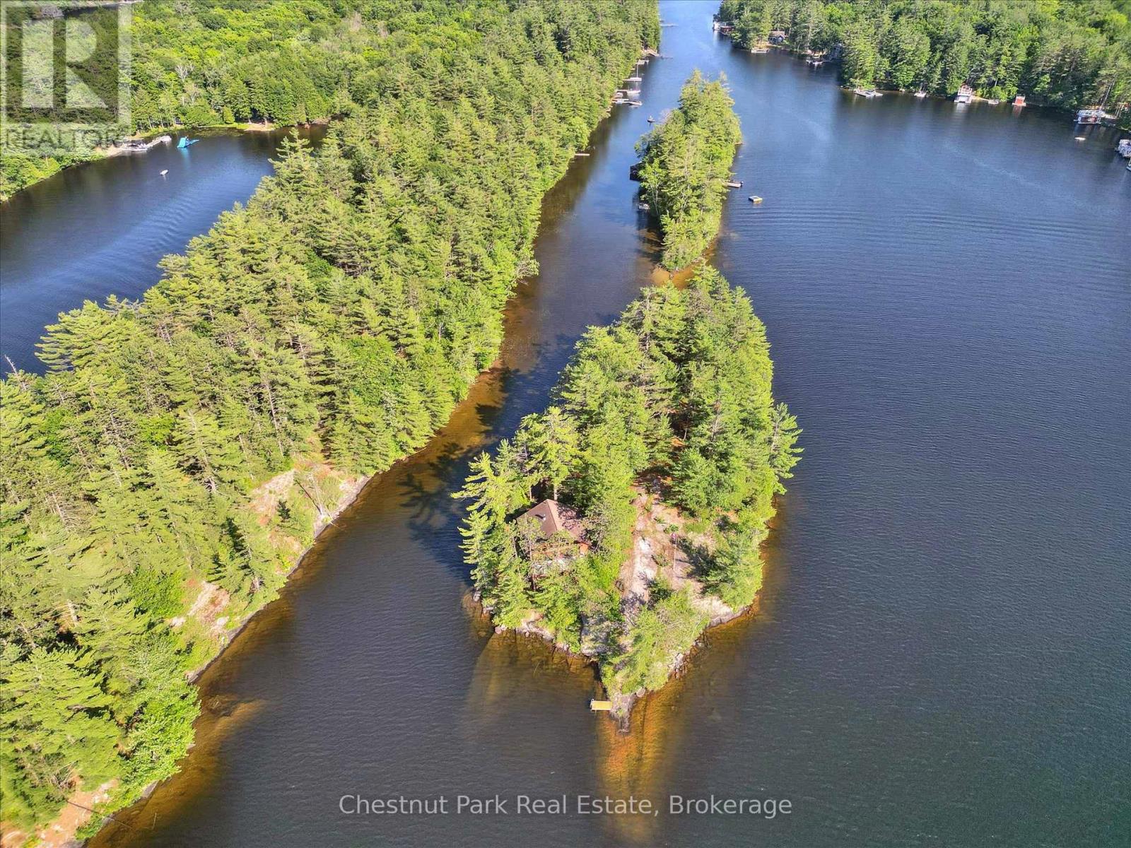 1 Diamond Island, Gravenhurst, Ontario  P1P 1R3 - Photo 5 - X12280494