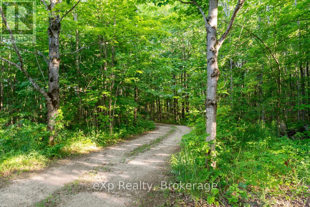 482475 Colpoy's Range Road, Georgian Bluffs, Ontario  N0H 2T0 - Photo 50 - X12280588