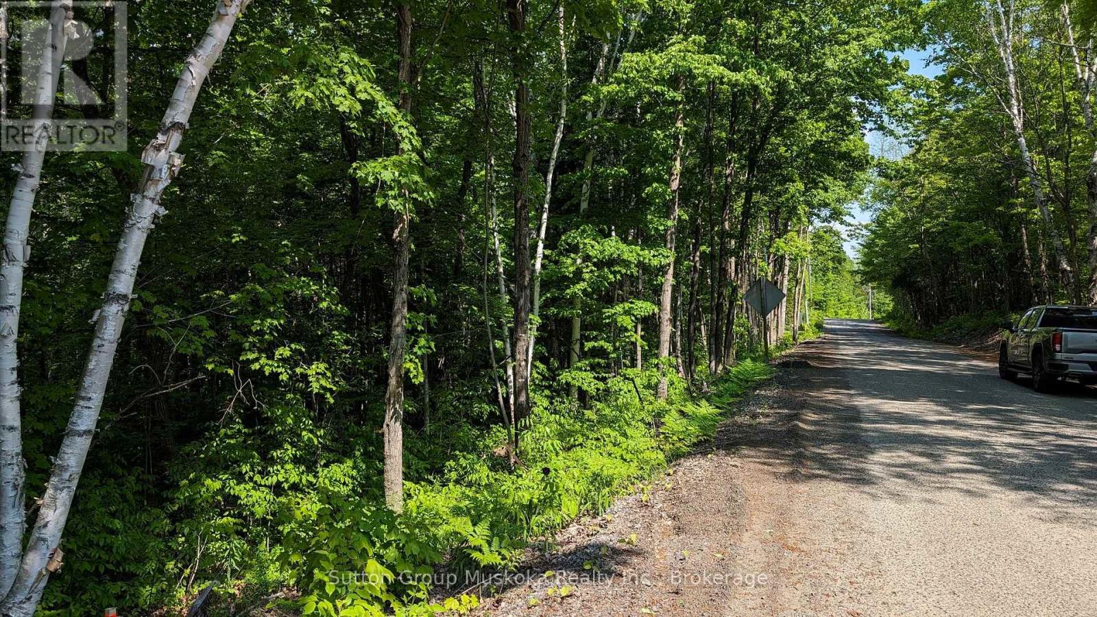 Lot 1 Tally-Ho Winter Park Road, Lake Of Bays, Ontario  P1H 2E8 - Photo 1 - X12280964