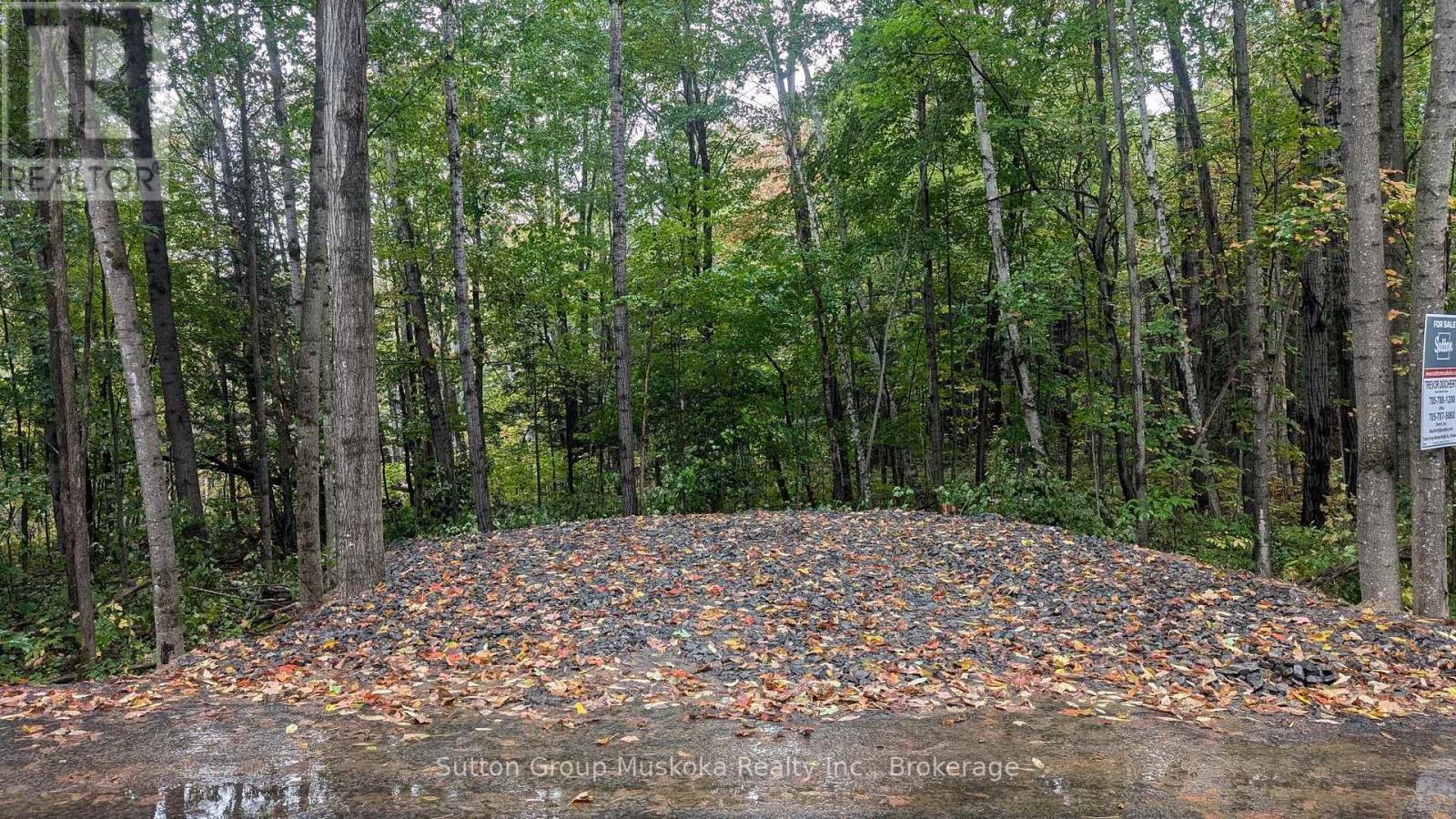 Lot 1 Tally-Ho Winter Park Road, Lake Of Bays, Ontario  P1H 2E8 - Photo 3 - X12280964