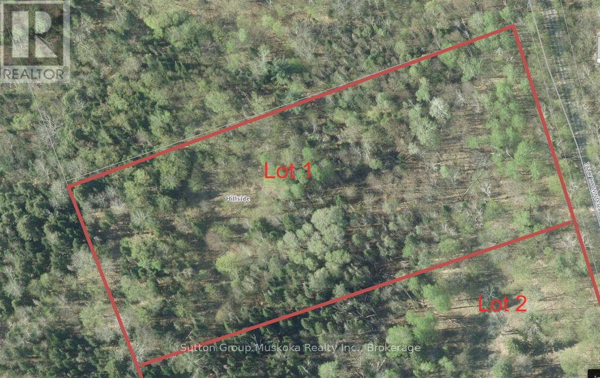 Lot 1 Tally-Ho Winter Park Road, Lake Of Bays, Ontario  P1H 2E8 - Photo 7 - X12280964
