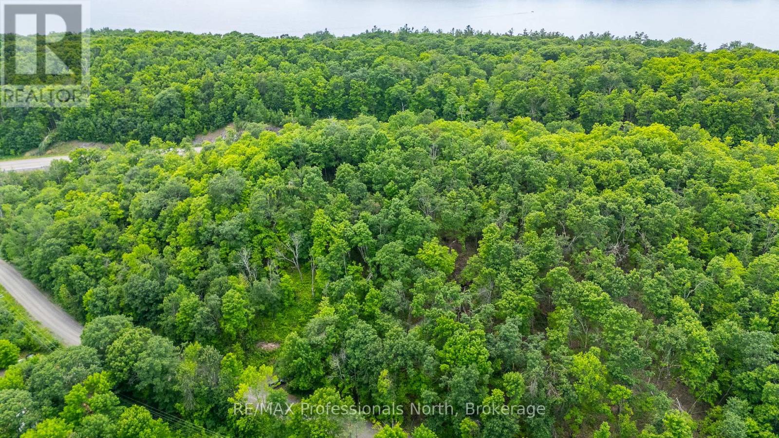 N/a Hendersons Road, Minden Hills, Ontario  K0M 2K0 - Photo 23 - X12281109