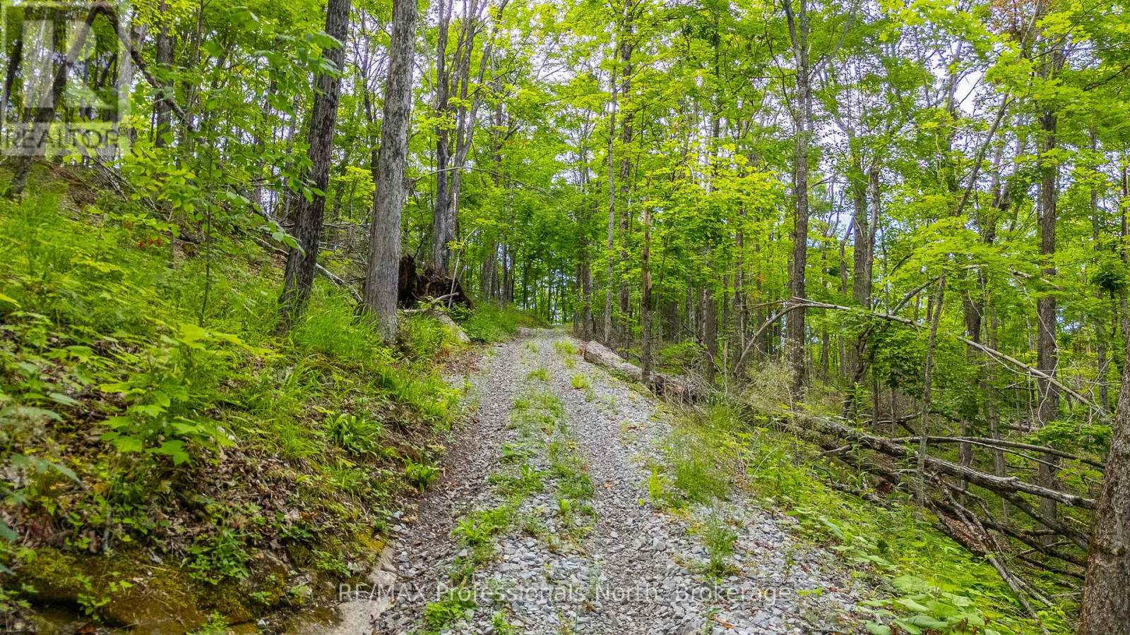 N/a Hendersons Road, Minden Hills, Ontario  K0M 2K0 - Photo 3 - X12281109