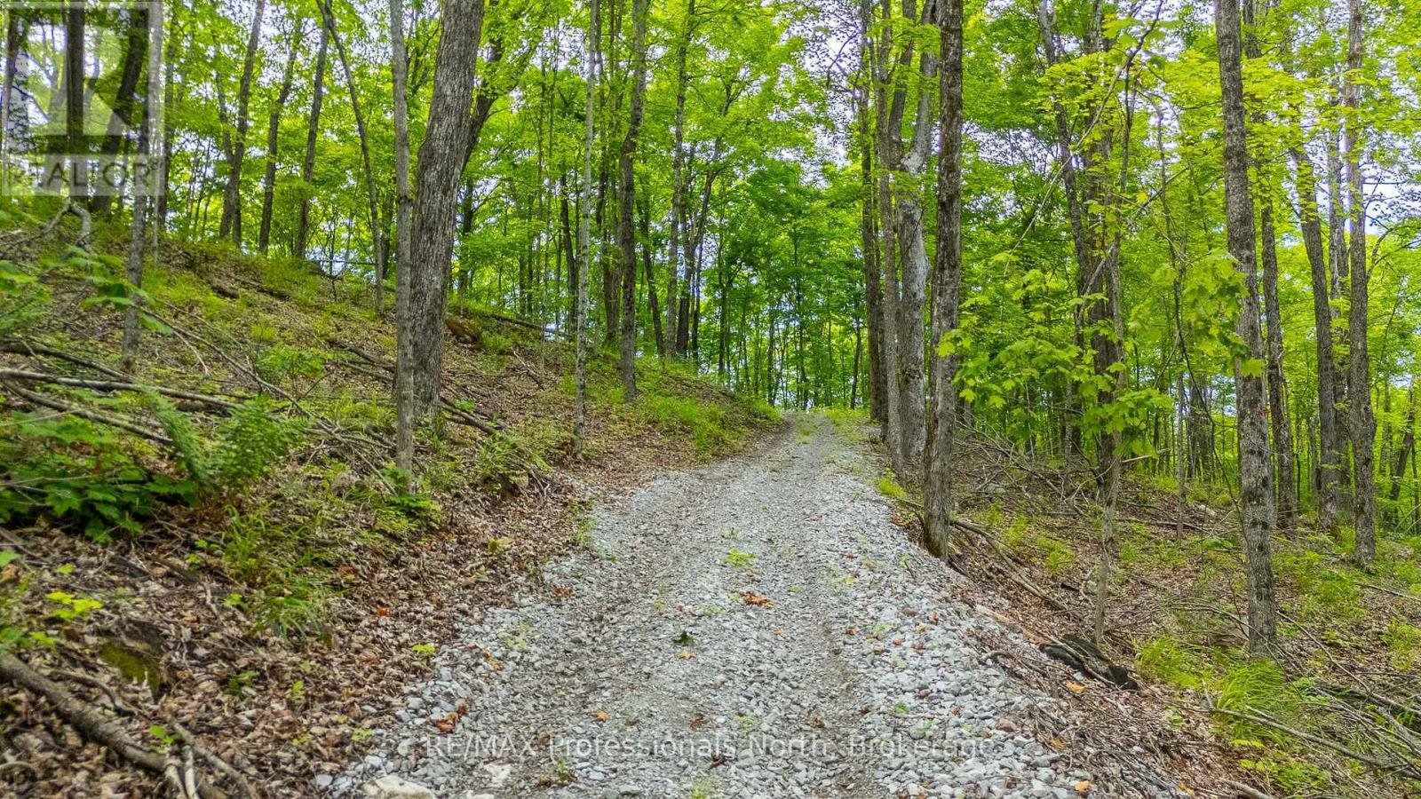N/a Hendersons Road, Minden Hills, Ontario  K0M 2K0 - Photo 4 - X12281109
