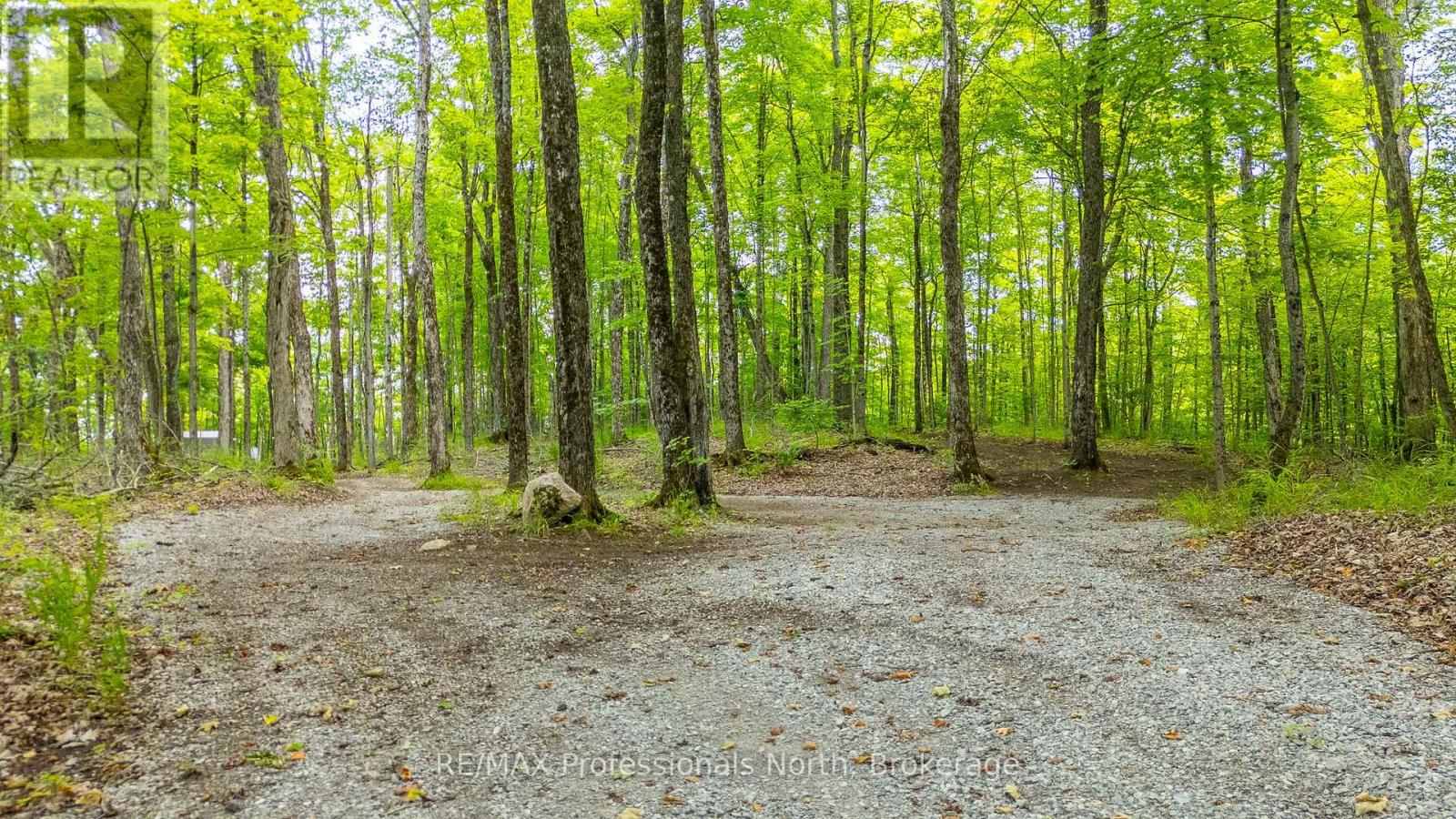 N/a Hendersons Road, Minden Hills, Ontario  K0M 2K0 - Photo 6 - X12281109