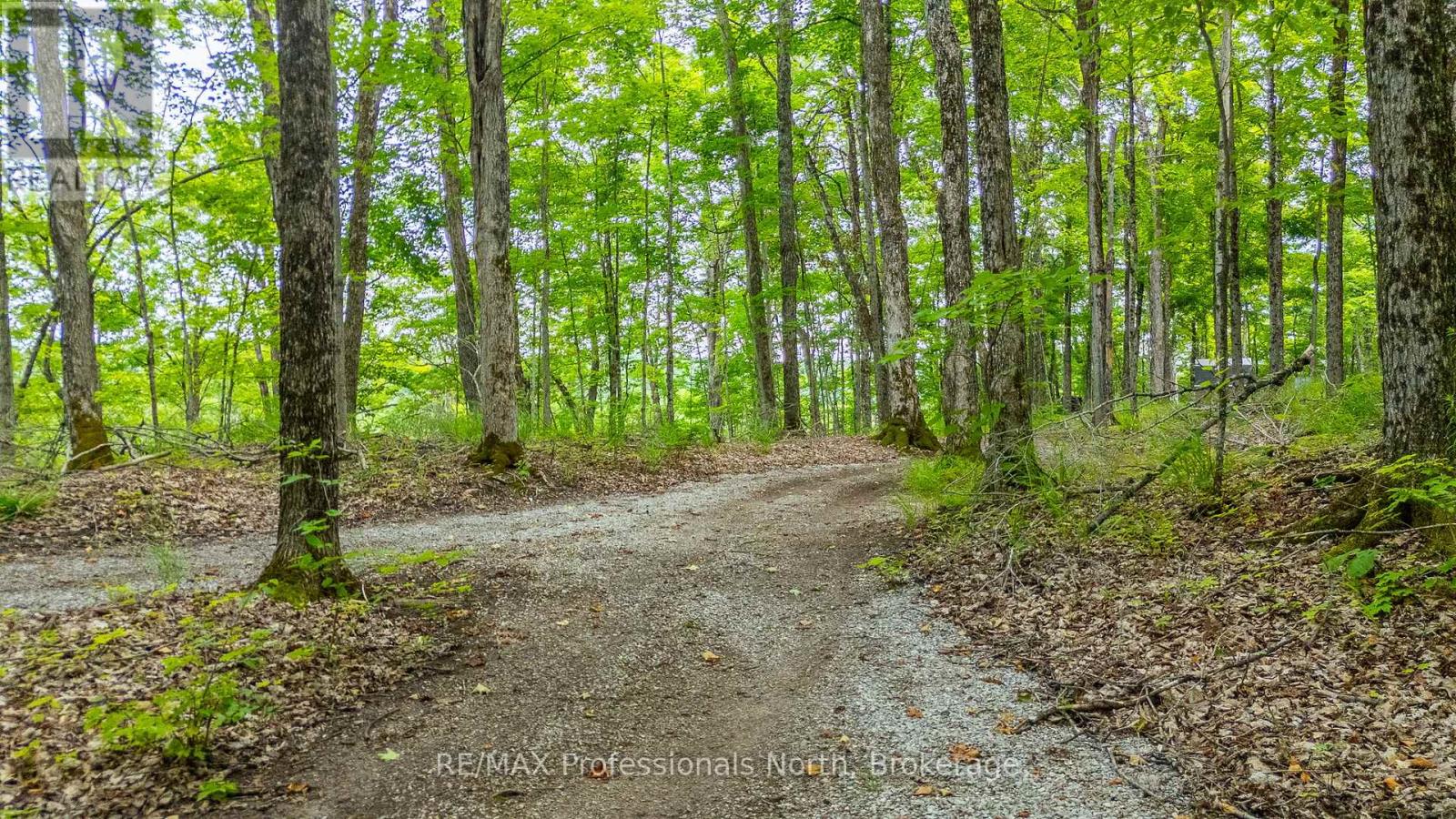 N/a Hendersons Road, Minden Hills, Ontario  K0M 2K0 - Photo 7 - X12281109