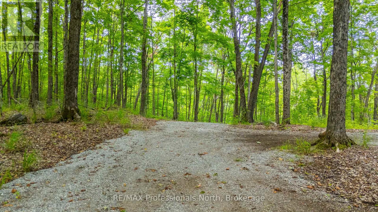 N/a Hendersons Road, Minden Hills, Ontario  K0M 2K0 - Photo 8 - X12281109