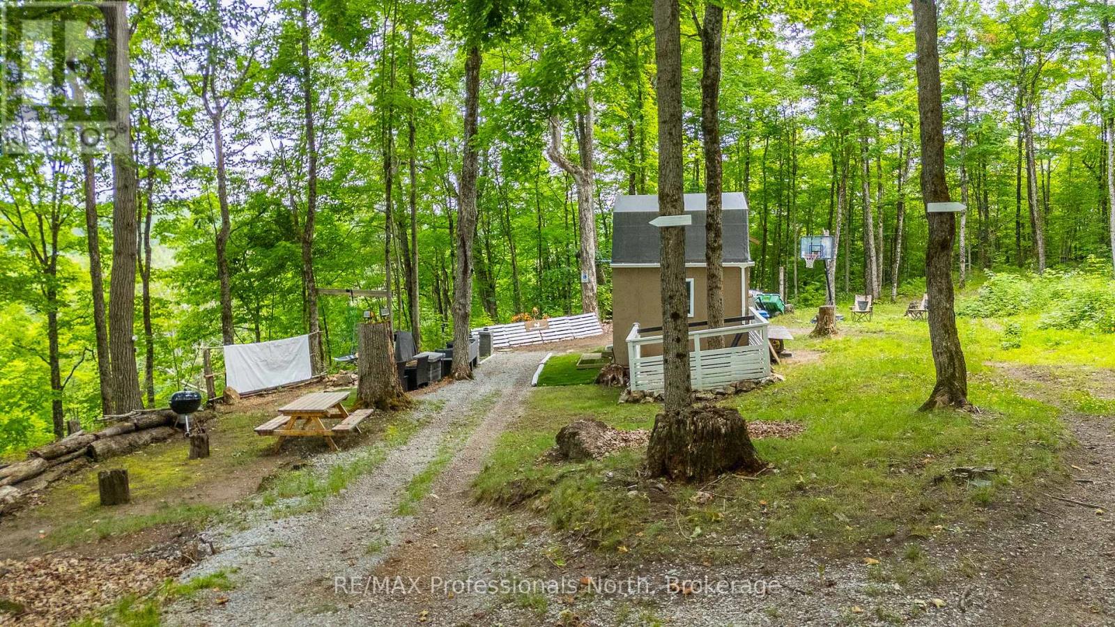 N/a Hendersons Road, Minden Hills, Ontario  K0M 2K0 - Photo 9 - X12281109