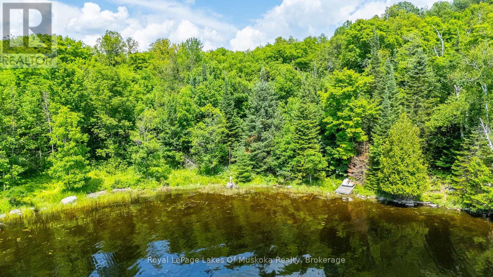 1236 Grace Road, Minden Hills, Ontario  K0M 2K0 - Photo 40 - X12281164