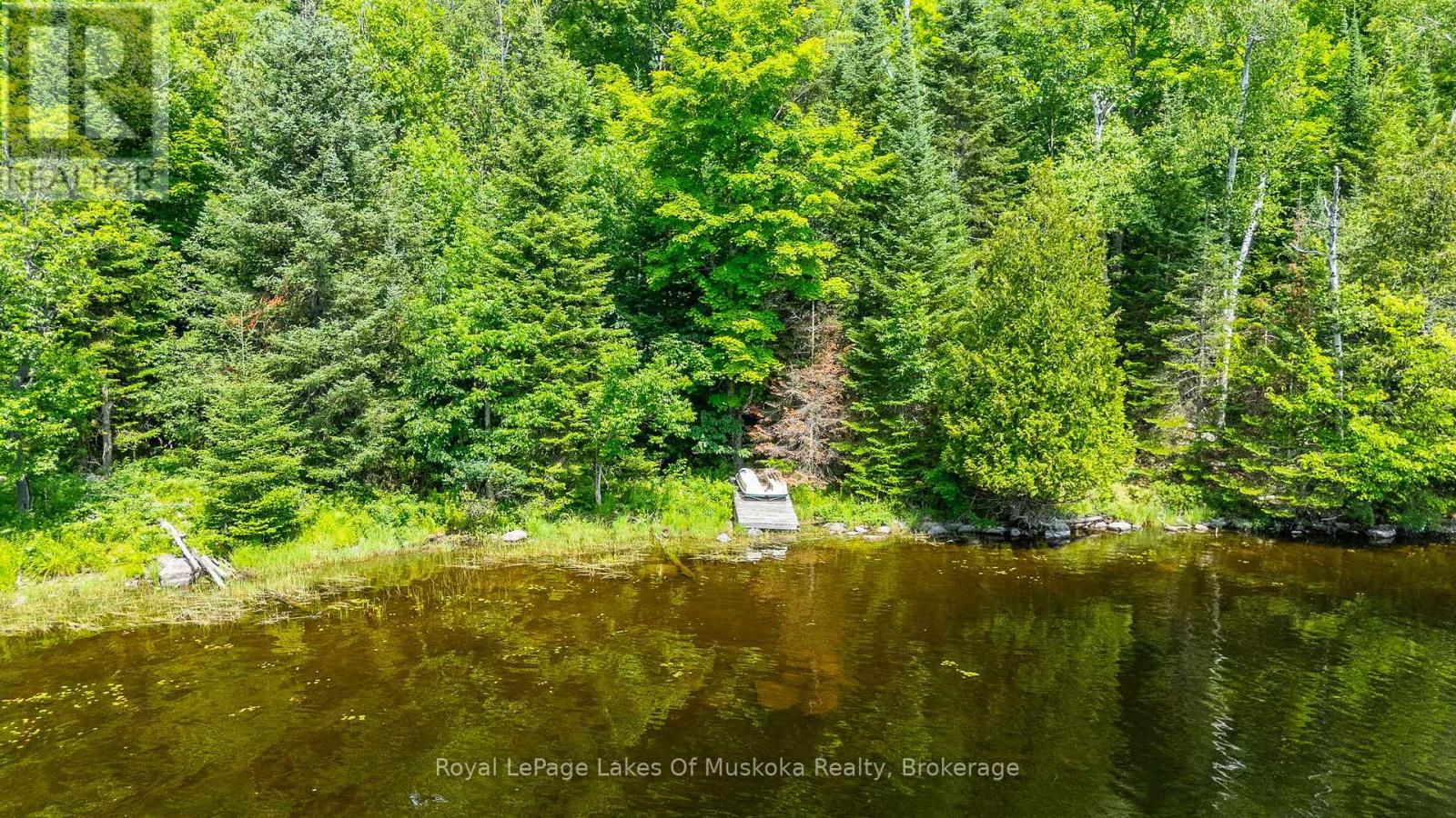 1236 Grace Road, Minden Hills, Ontario  K0M 2K0 - Photo 41 - X12281164