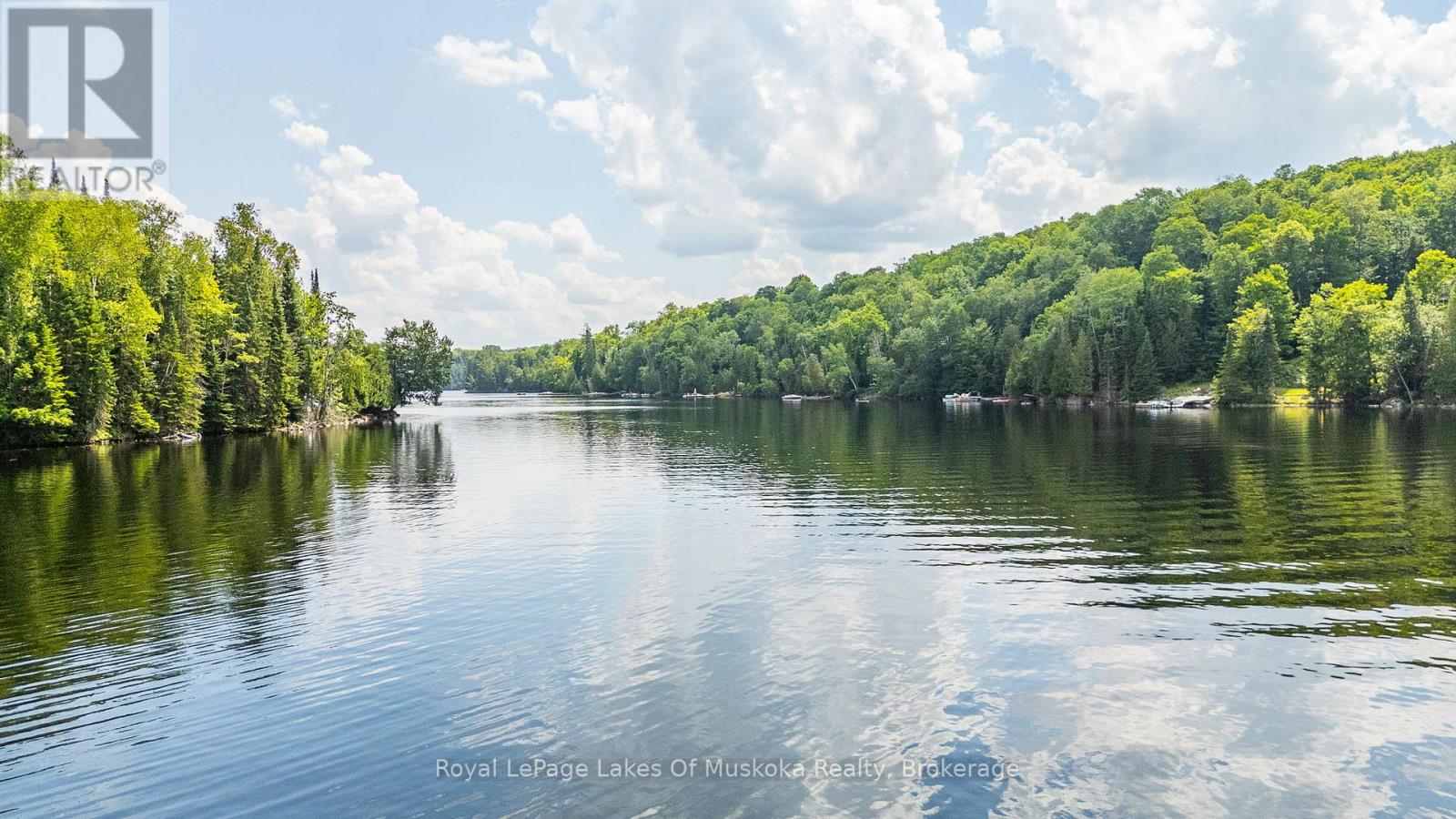 1236 Grace Road, Minden Hills, Ontario  K0M 2K0 - Photo 42 - X12281164
