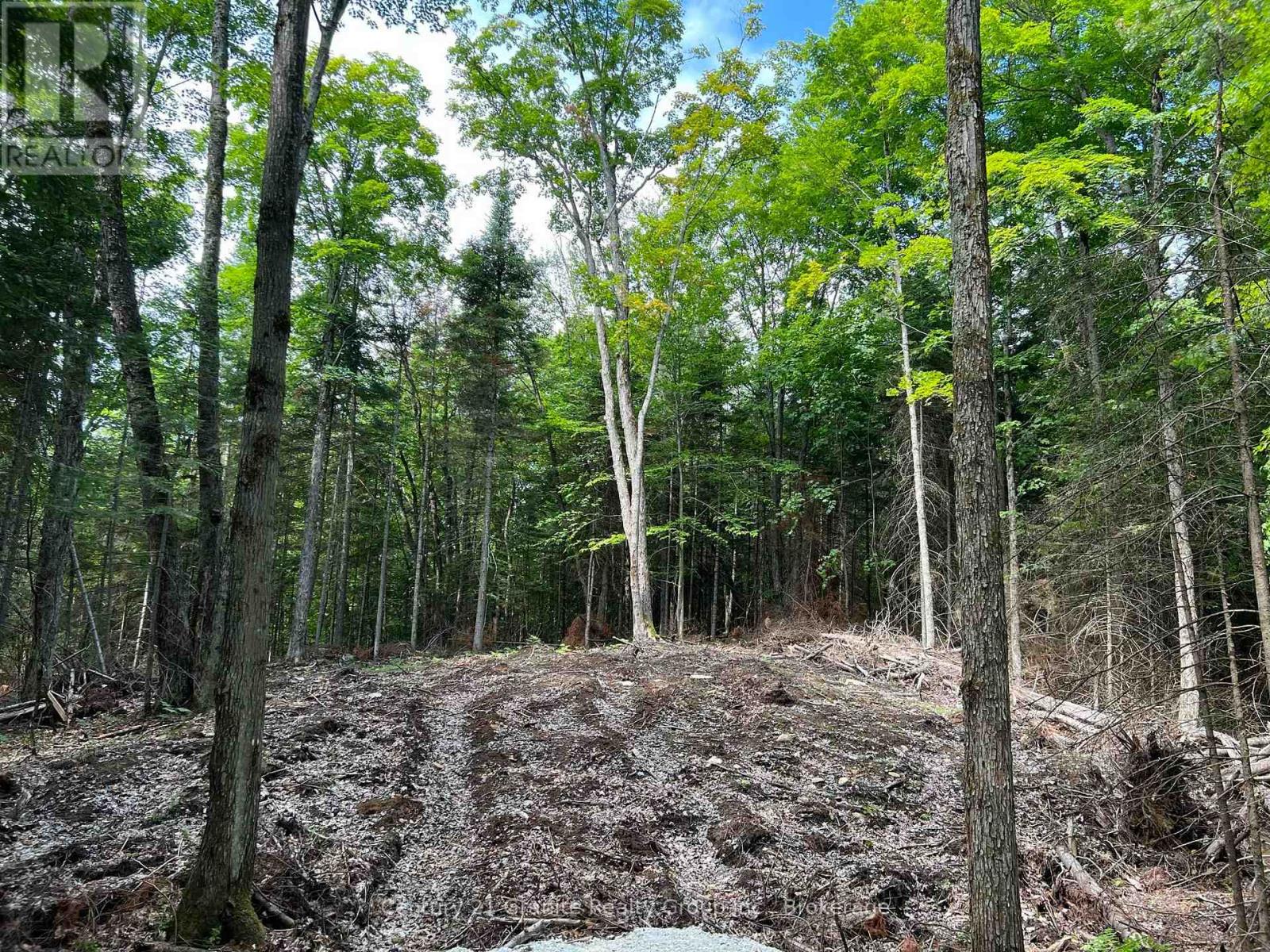 LOT 26 WEST COURT, Dysart et al, Ontario