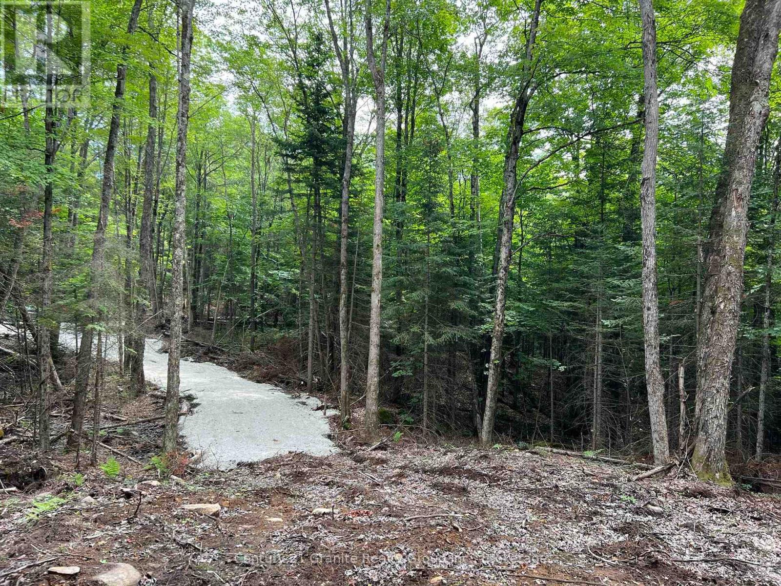 Lot 26 West Court, Dysart Et Al, Ontario  K0M 1S0 - Photo 2 - X12281333
