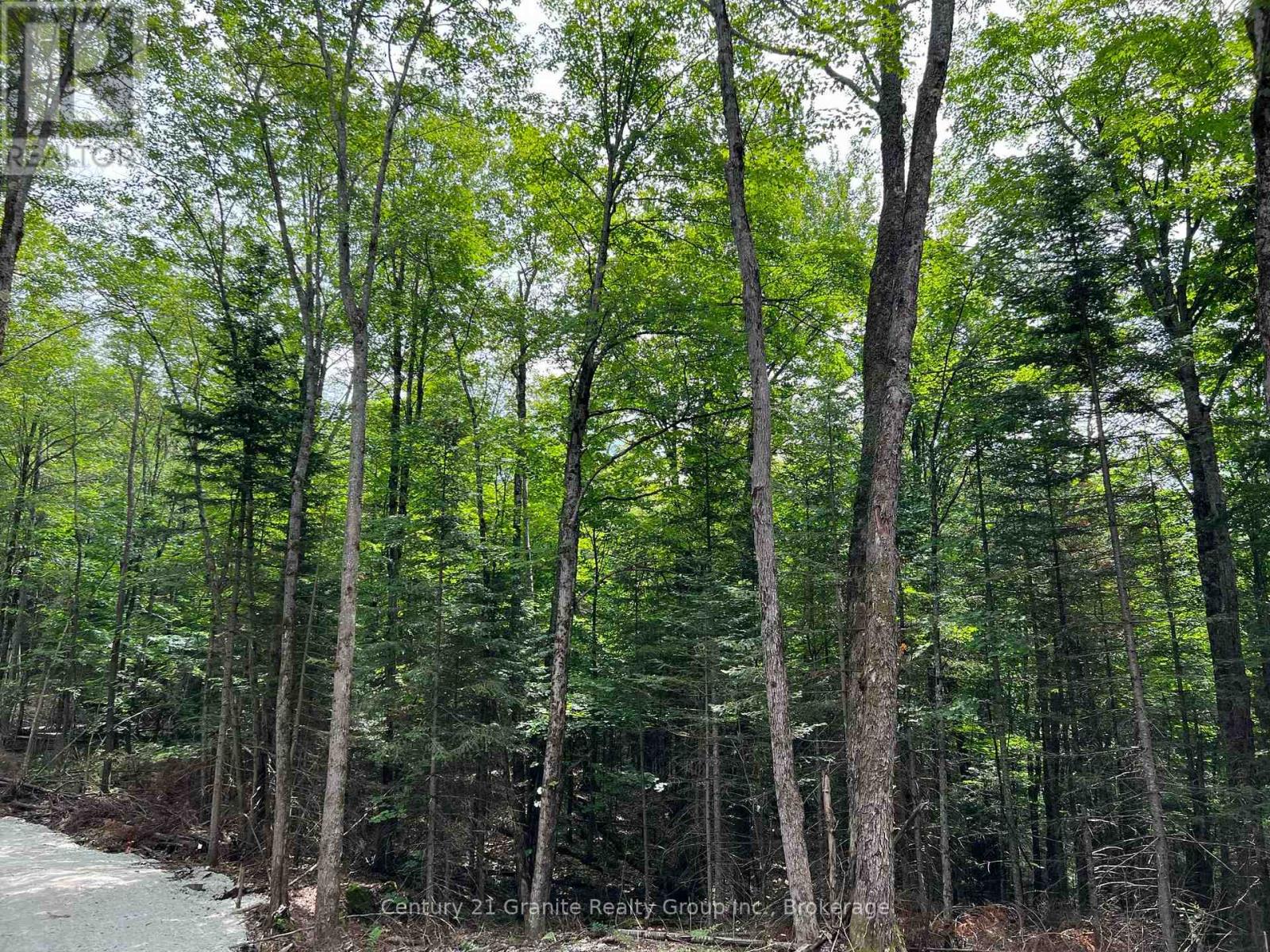 Lot 26 West Court, Dysart Et Al, Ontario  K0M 1S0 - Photo 4 - X12281333
