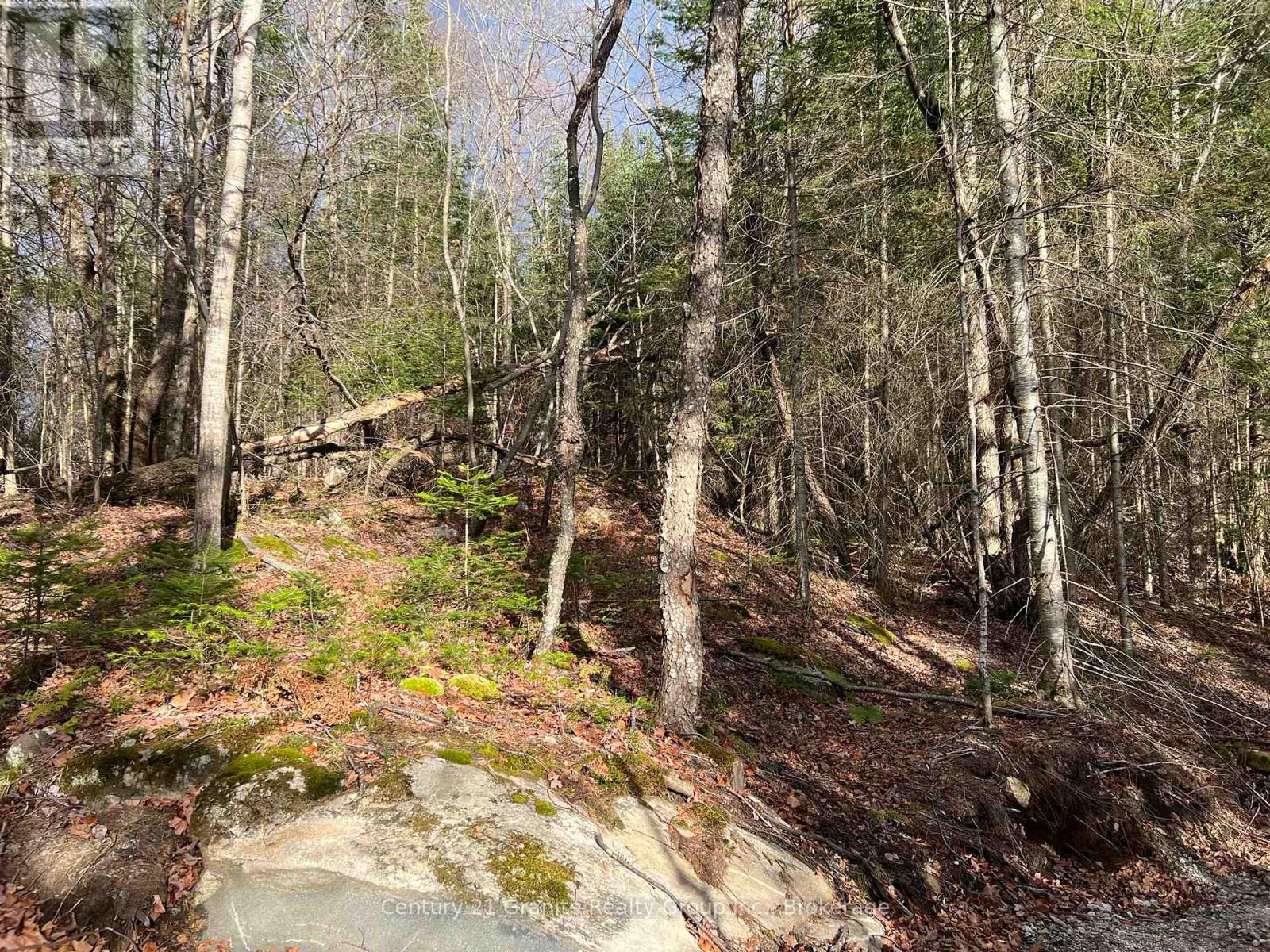 Lot 27 Bushwolf Lake Road, Dysart Et Al, Ontario  K0M 1S0 - Photo 2 - X12281337