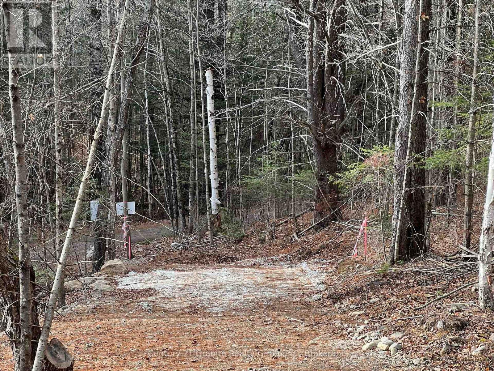 Lot 27 Bushwolf Lake Road, Dysart Et Al, Ontario  K0M 1S0 - Photo 5 - X12281337