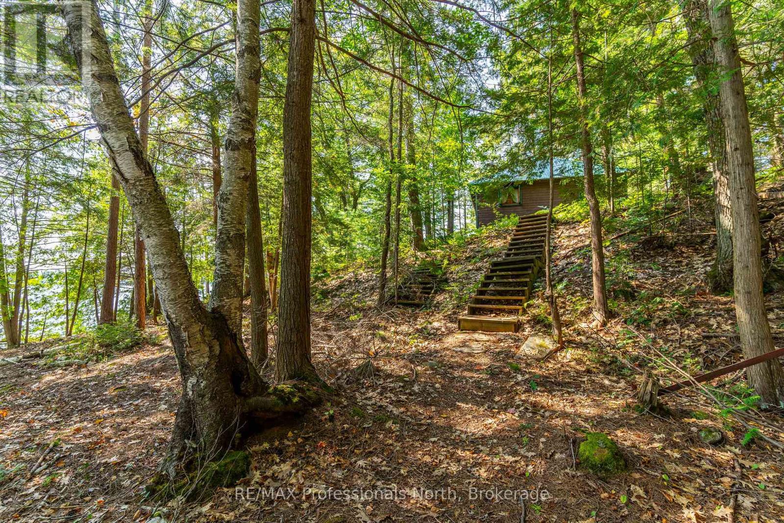 13055 Little Hawk South Shore Road, Algonquin Highlands, Ontario  K0M 1J1 - Photo 22 - X12281388