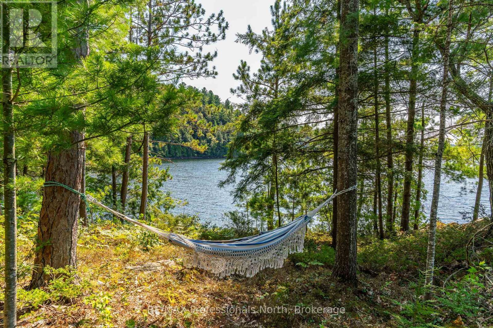 13055 Little Hawk South Shore Road, Algonquin Highlands, Ontario  K0M 1J1 - Photo 23 - X12281388