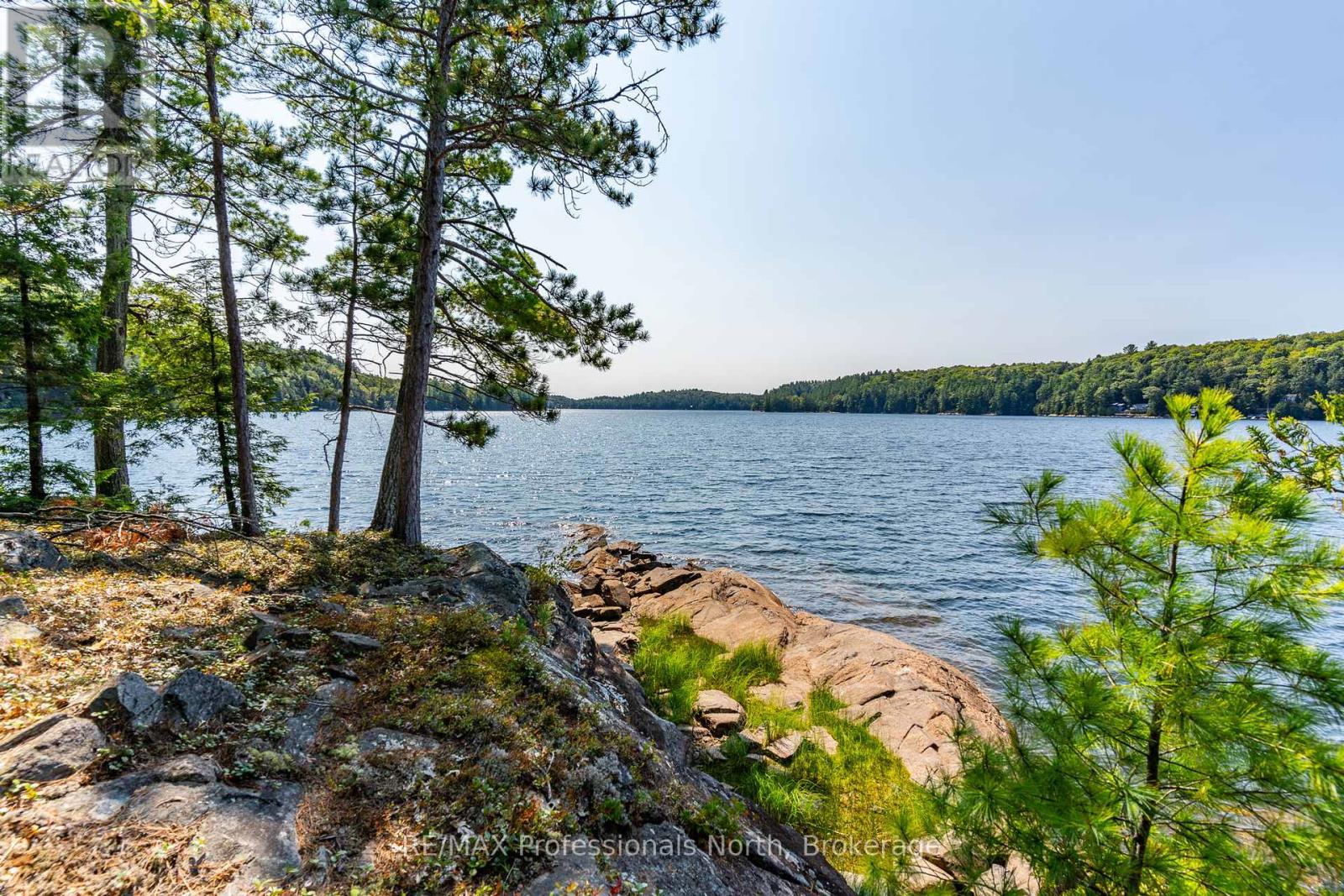 13055 Little Hawk South Shore Road, Algonquin Highlands, Ontario  K0M 1J1 - Photo 25 - X12281388