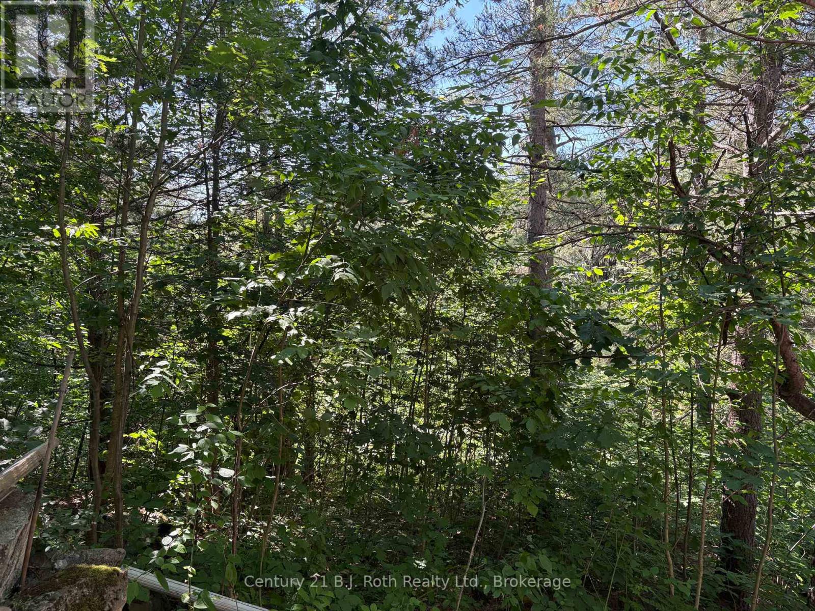 Pt Lot 16 Concession A Concession, Gravenhurst, Ontario  L0K 2B0 - Photo 6 - X12282004